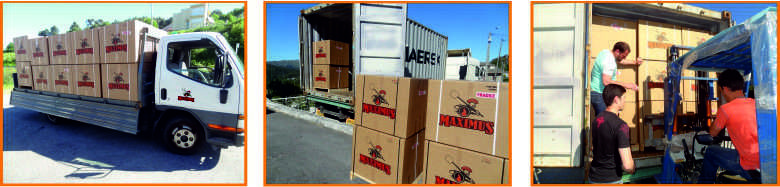 Maximus Impexfire exportacion